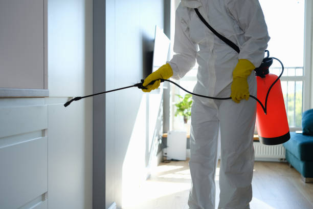 Best Best Mold Removal Companies  in Mount Sterling, OH